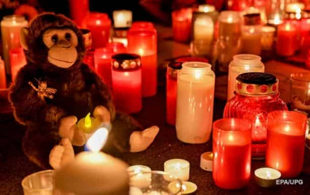 ЧП в зоопарке Германии: сгорели 30 животных