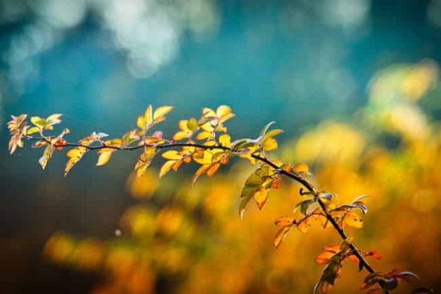 2 сентября: какой сегодня праздник и приметы дня