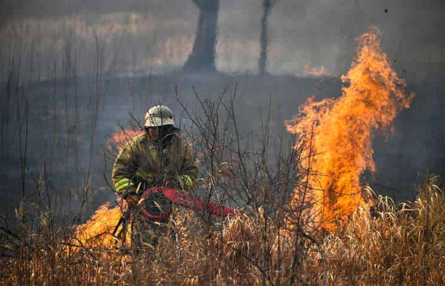 Area covered by wildfires in Far East increased 30 times in one month
