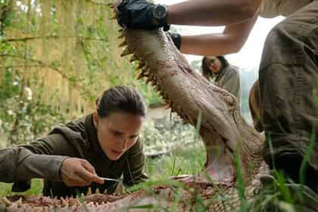 Назван лучший фильм начала 2018 года
