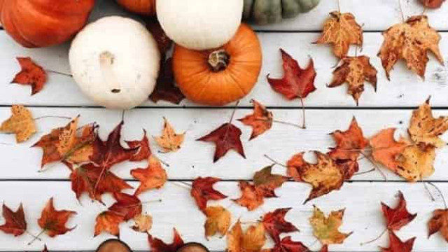 8 ноября: какой сегодня праздник