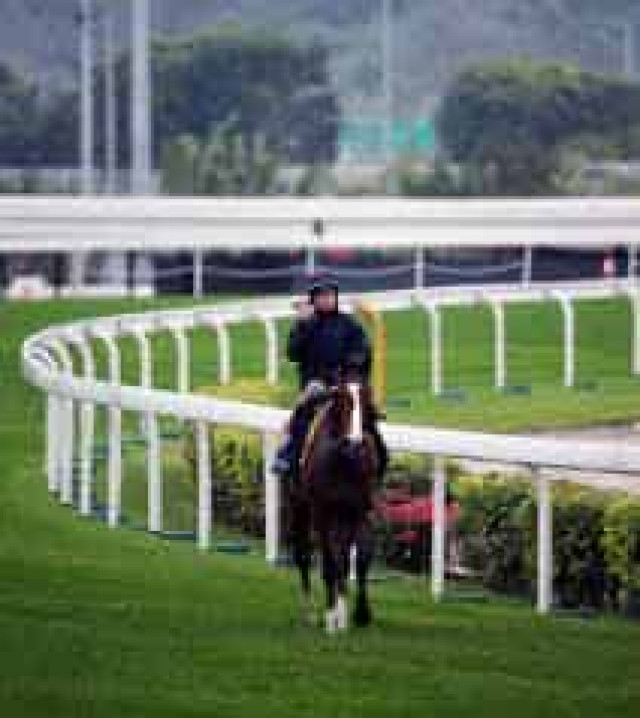 Oisin Murphy rides to fulfil lifelong ambition of fallen owner Vichai Srivaddhanaprabha in Hong Kong Vase