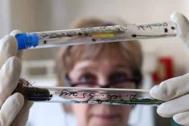 Россиян предупредили о вирусе энцефалита в сыром молоке