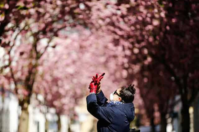 Germany's coronavirus cases rise by 4,974, deaths by 246