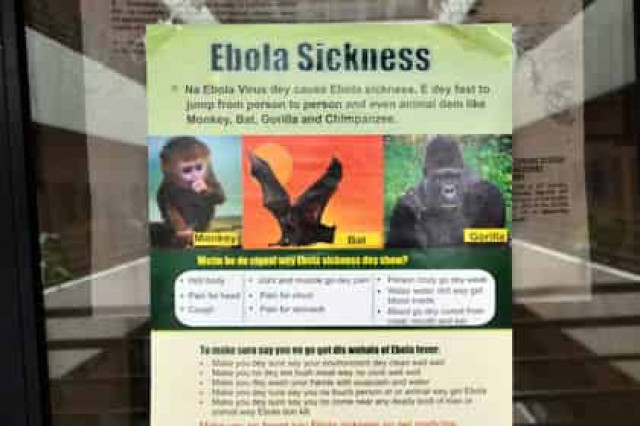 В Румынии госпитализирован мужчина с подозрением на лихорадку Эбола