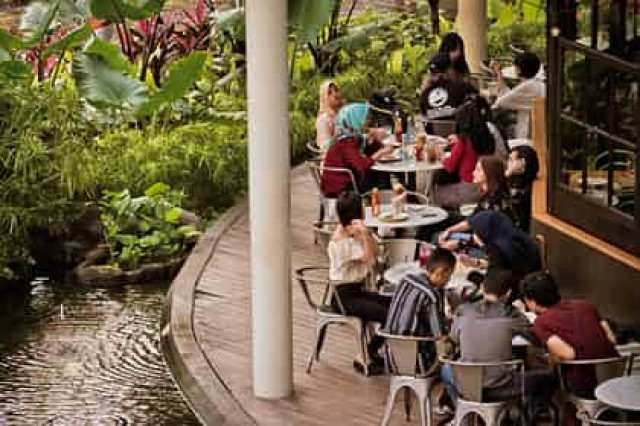 В Индонезии женщинам запретили обедать с мужчинами
