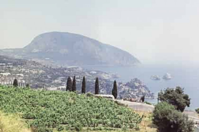 Крымские виноделы предложили дизайн 200-рублевой купюры
