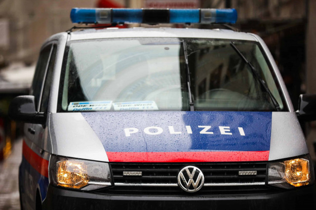 В Австрии политик стрелял по портретам президента