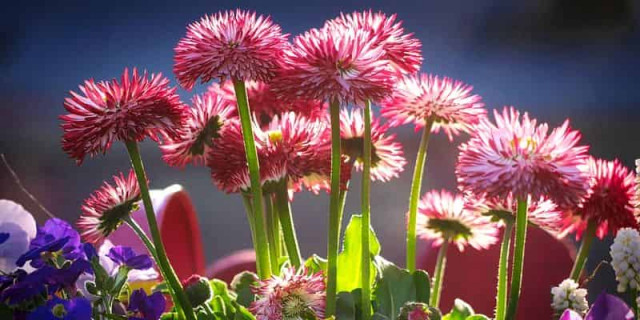 16 июля: какой сегодня праздник и приметы дня