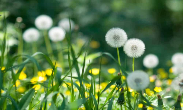 18 июля: какой сегодня праздник и приметы дня