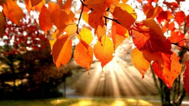 19 сентября: какой сегодня праздник и приметы дня