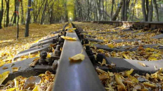 21 октября: какой сегодня праздник