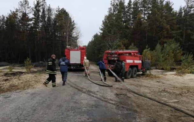 ЕС  готов оказать поддержку в борьбе с пожарами 