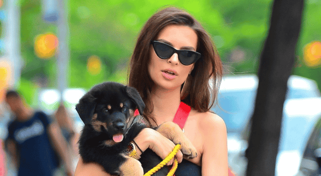 Одежды все меньше: новый откровенный выход Эмили Ратаковски
