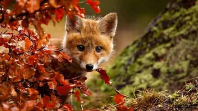 23 сентября: какой сегодня праздник и приметы дня