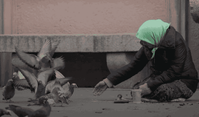 Романенко показав «слугам народу» реальне життя українців: «Прості люди захлинаються в г*мні» (ФОТО)