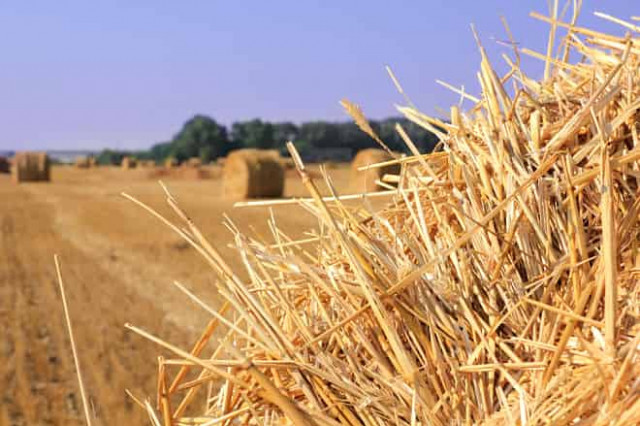 27 июля: какой сегодня праздник и приметы дня