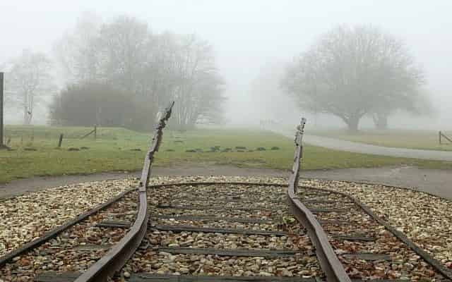 Dutch rail says it will compensate for transporting Jews to Nazi death camps