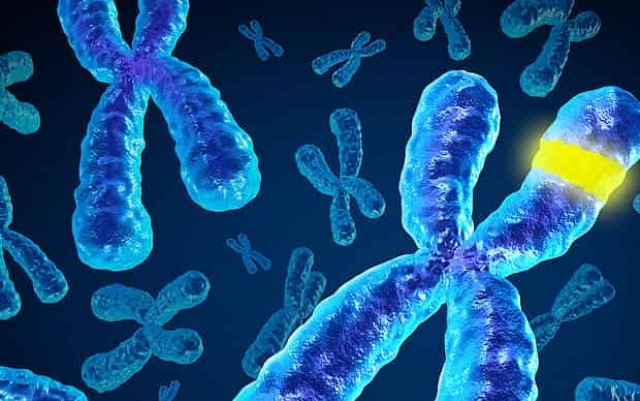 Ученые обнаружили ген, влияющий на желание иметь детей
