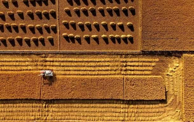 У Зеленського поспішають скасувати земельний мораторій