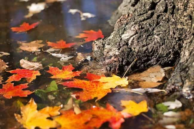 1 ноября: какой сегодня праздник