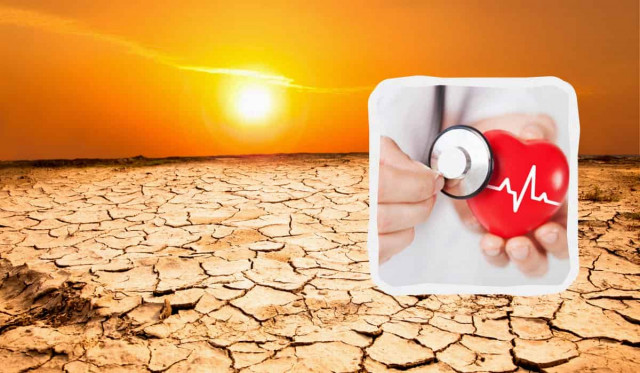 Науковці хочуть спрогнозувати вплив погоди на людей із захворюваннями серця
