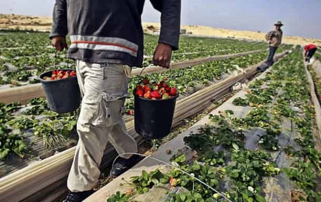 Названо число украинцев, уехавших в 2021 году на заработки за границу