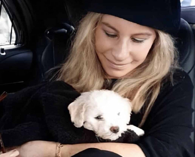 Відома американська акторка передала Україні реанімобіль
