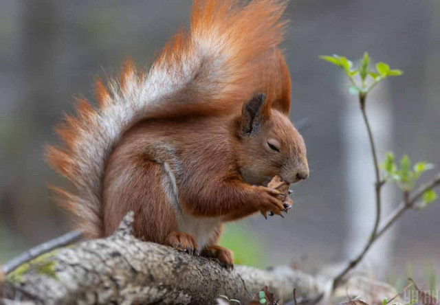 4 квітня в Україні стане ще прохолодніше