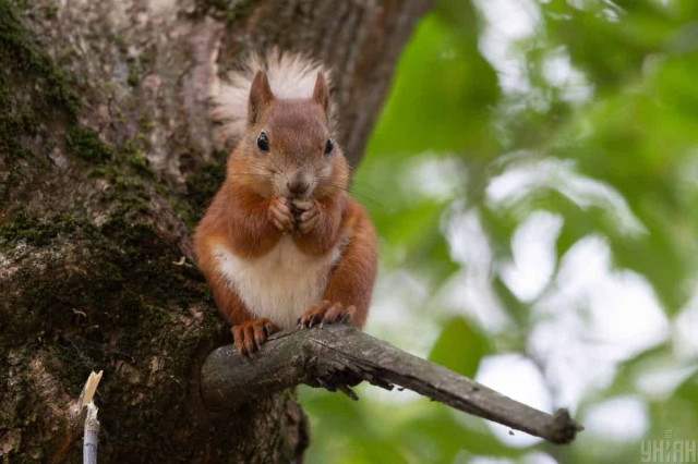 Температура в Україні впаде до +12°: синоптик розказала, коли похолоднішає
