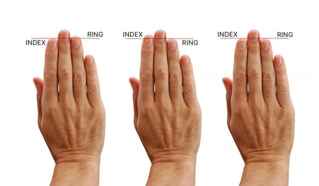 Учені розкрили незвичайний зв'язок між довжиною пальців і тягою до алкоголю
