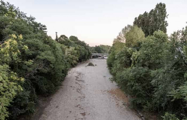 В пяти регионах Италии объявили режим ЧС из-за рекордной засухи
