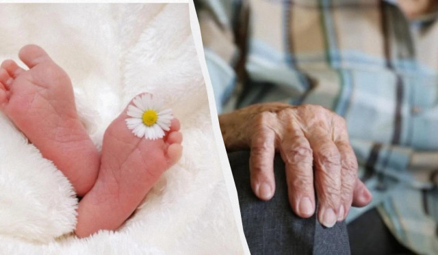 Демографічна криза в Україні: смертність вже втричі перевищує народжуваність
