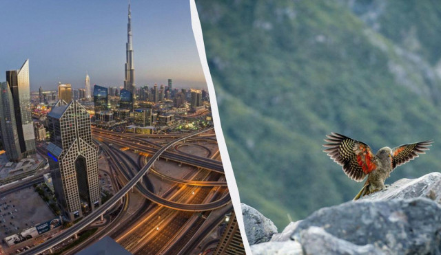 Туристам назвали найкращі напрямки світу для 