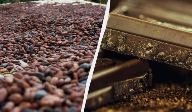 В Україні різко подорожчає шоколад: прогноз експерта
