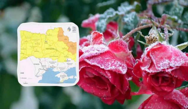 Укргідрометцентр попереджає про сильні заморозки: які області під ударом