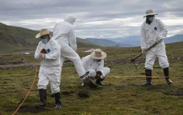 В Китае зафиксировали еще одну смерть от чумы