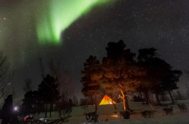 Це не Рейк’явік: названо ідеальне європейське місто для зустрічі Різдва
