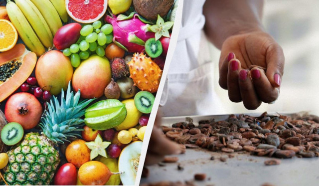 У США виробники продуктів запанікували: Трампа просять відмовитися від мит
