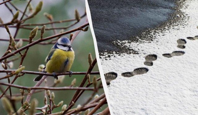 Грійтесь, поки є можливість: синоптикиня попередила про різку зміну погоди в Україні
