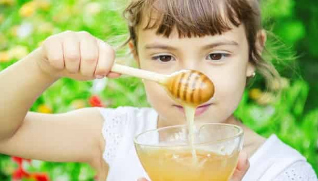 Медовый спас 2020: дата, традиции, приметы