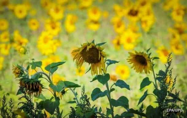 Минфин назвал главные риски экономики в 2022 году