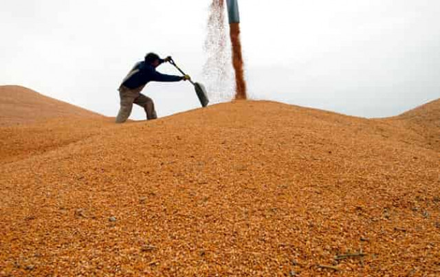 От газа до кукурузы. Влияние конфликта Украина-РФ