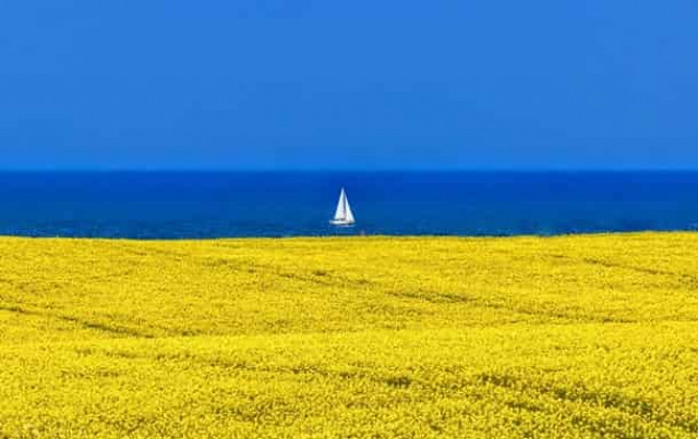 Праздники недели: что будем отмечать 