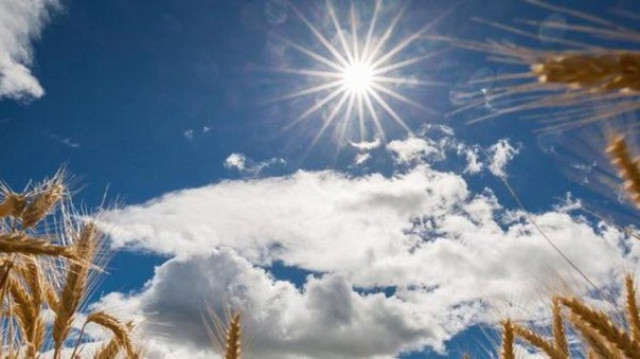 Вже невдовзі на Україну чекає потепління: синоптикиня розкрила деталі
