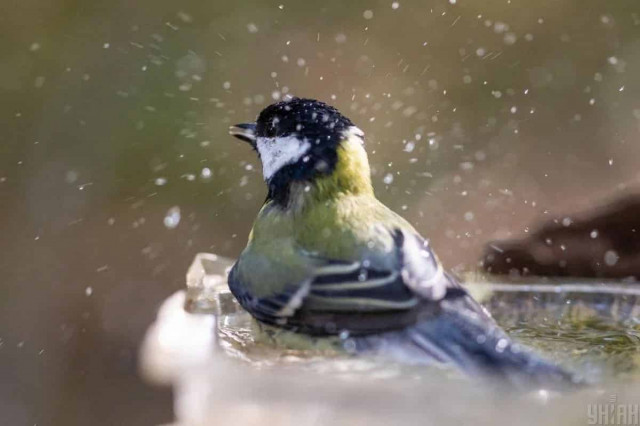 До кінця тижня на українців чекає зміна погоди