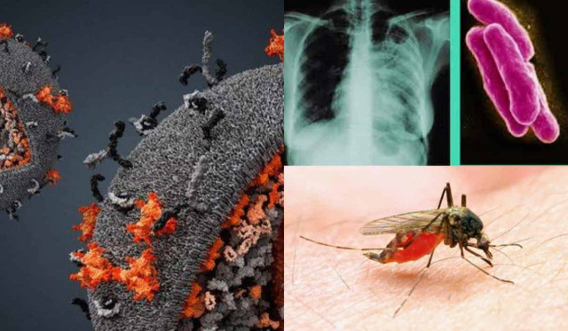 Зміни клімату перешкоджають боротьбі з трьома найбільш смертоносними хворобами у світі
