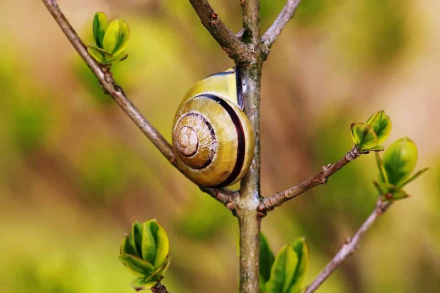 Синоптики назвали точну дату, коли в Україні припиняться дощі та потеплішає

