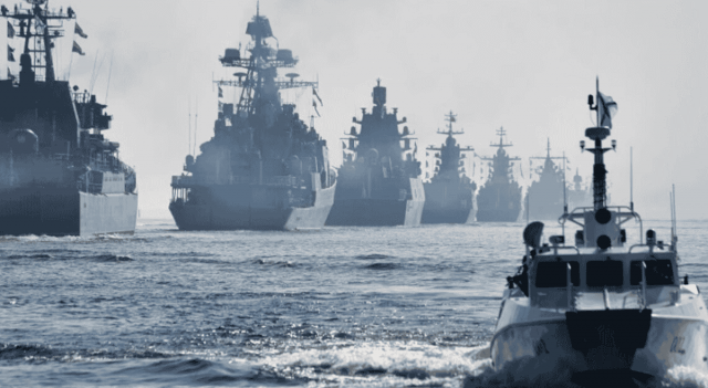 В Черном и Азовском морях значительно увеличилось количество 