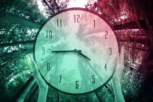 Успішні люди назвали найдієвіші життєві поради
